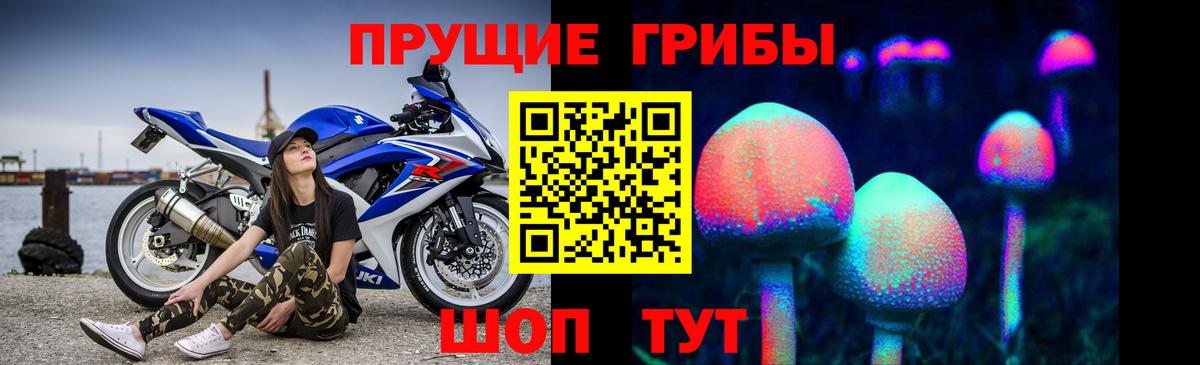 Галлюциногенные грибы Magic Shrooms  наркотики  Галлюциногенные грибы прущие грибы  Муравленко  Вход с VPN 
